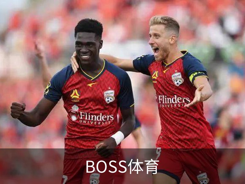 关于BOSS体育
